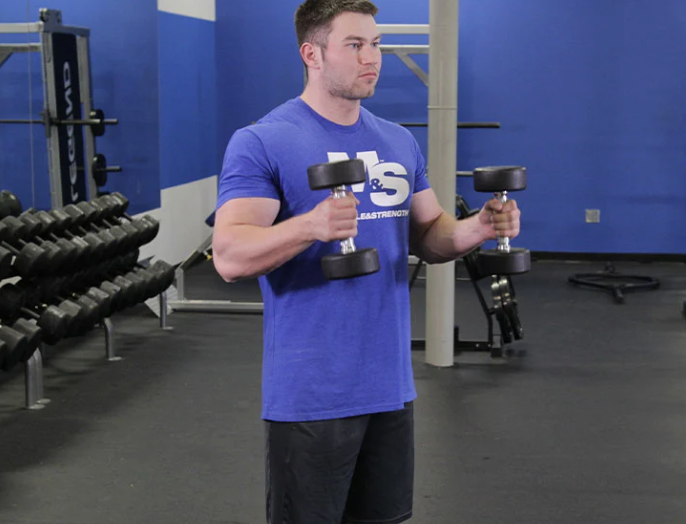 hammer bicep curls